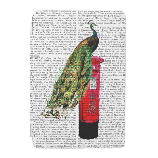 Peacock on Postbox iPad Mini Cover (Front)