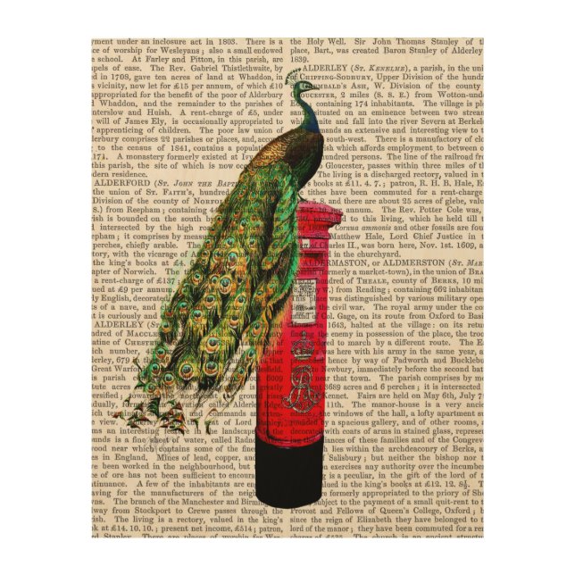 Peacock on Postbox Wood Wall Decor (Front)