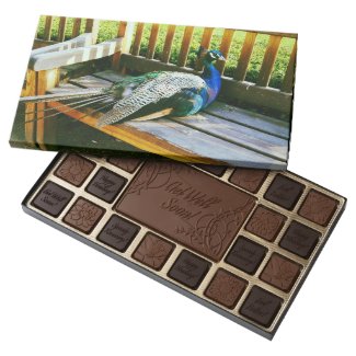 Peacock on the bench 45 piece box of chocolates