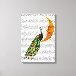 Peacock on the Moon Canvas Print