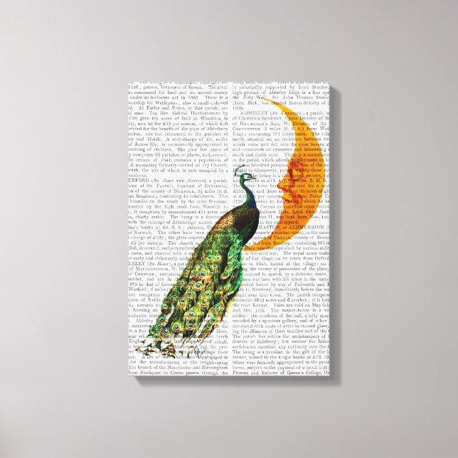 Peacock on the Moon Canvas Print (Front)