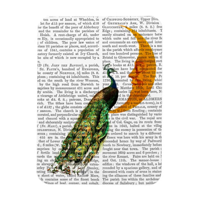 Peacock on the Moon Magnet (Vertical)