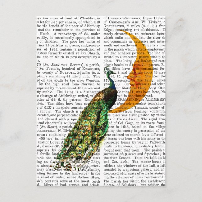 Peacock on the Moon Postcard (Front)