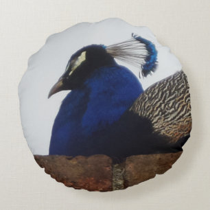 Peacock on The Wall Round Pillow