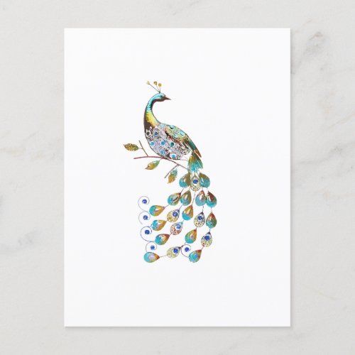 Peacock on White Background  Minimal  Postcard