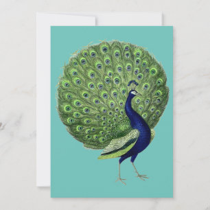 Peacock Open Fan Invitation