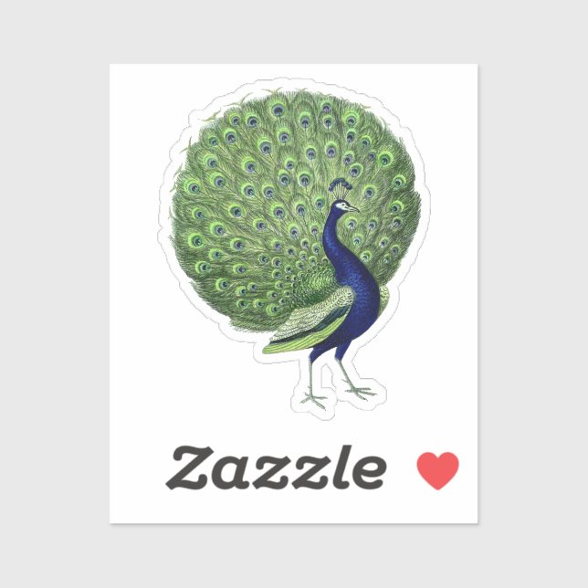 Peacock Open Fan Sticker (Sheet)