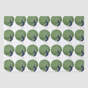 Peacock Open Fan Tissue Paper