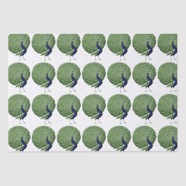 Peacock Open Fan Tissue Paper (Front)