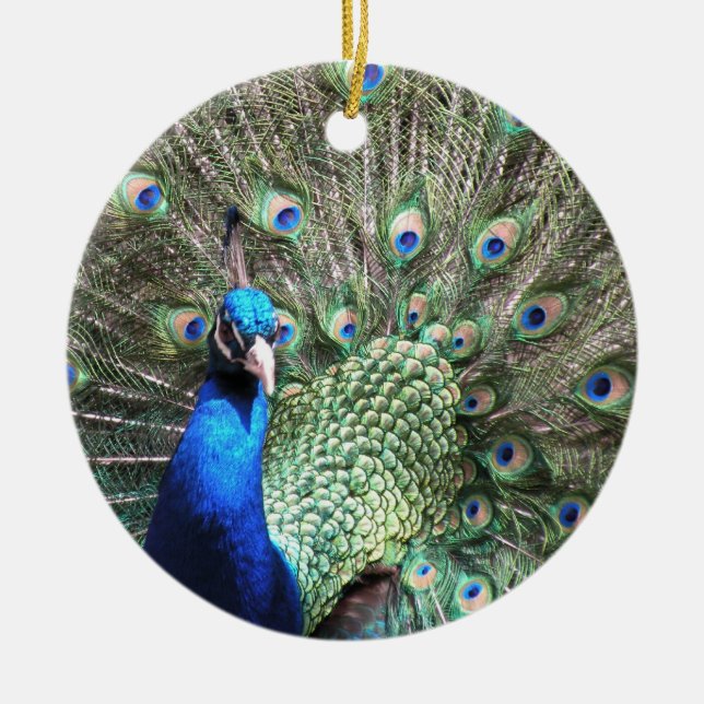 Peacock ornament (Front)