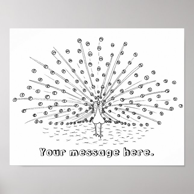 Peacock Outline Drawing Posters (Front)