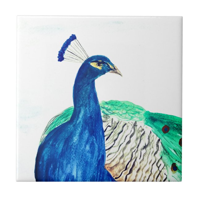 Peacock Painted Watercolor Bird Kitchen Rustic Ceramic Tile (Front)