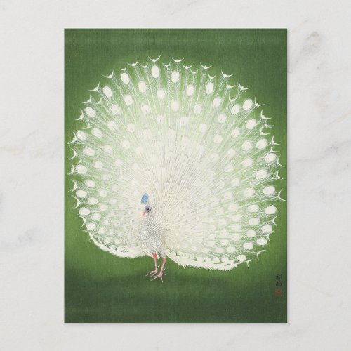 Peacock Painting by Ohara Koson Postcard