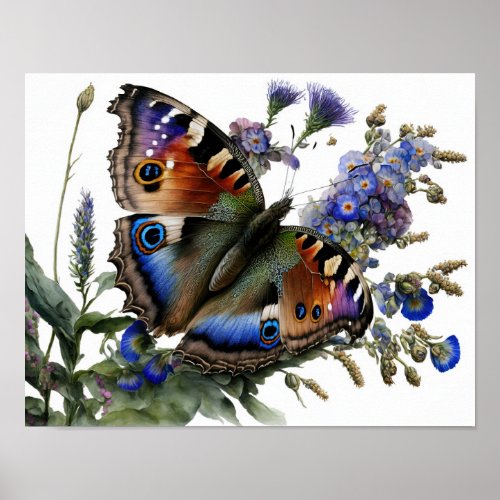 Peacock Pansy Butterfly Art Print Poster