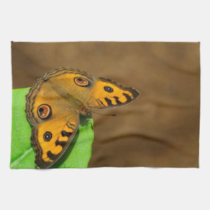 Peacock Pansy Kitchen Towel