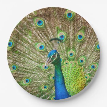 Peacock Paper Plates by PixLifeBirds at Zazzle