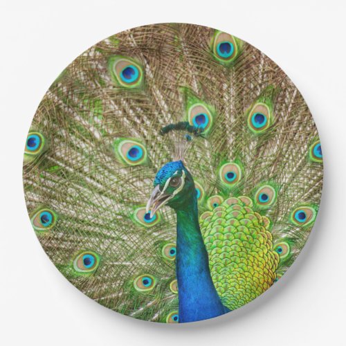 Peacock Paper Plates