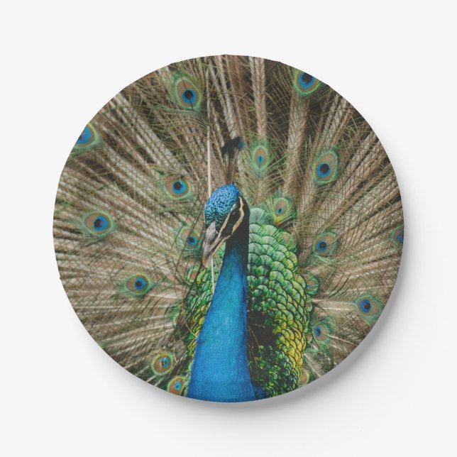 Peacock Paper Plates (Front)