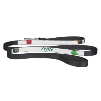 Peacock parrot and flower pet leash