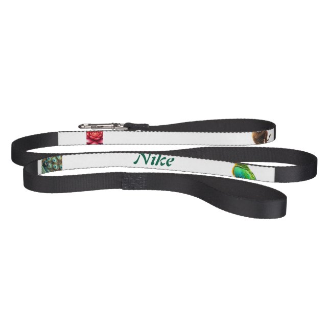 Peacock parrot and flower pet leash (Full)