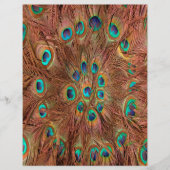 Peacock pattern Background (Front)
