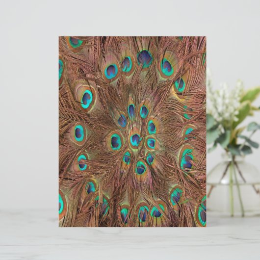 Peacock pattern Background (Standing Front)