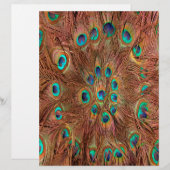 Peacock pattern Background (Front/Back)