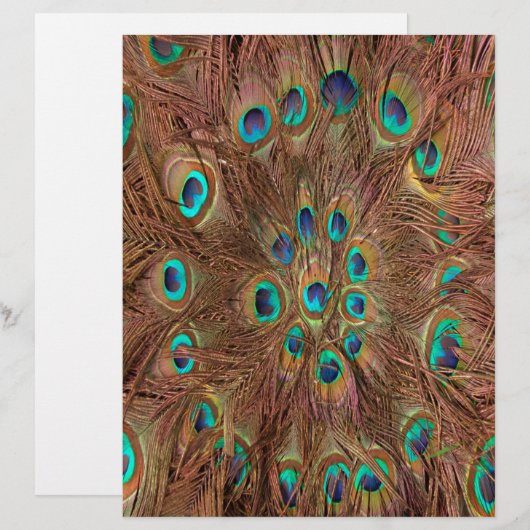 Peacock pattern Background (Front/Back)