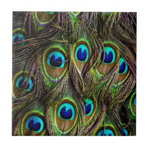 peacock pattern ceramic tile