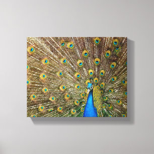 Peacock Pattern Peacock Artwork Painting Animal Ar Canvas Print