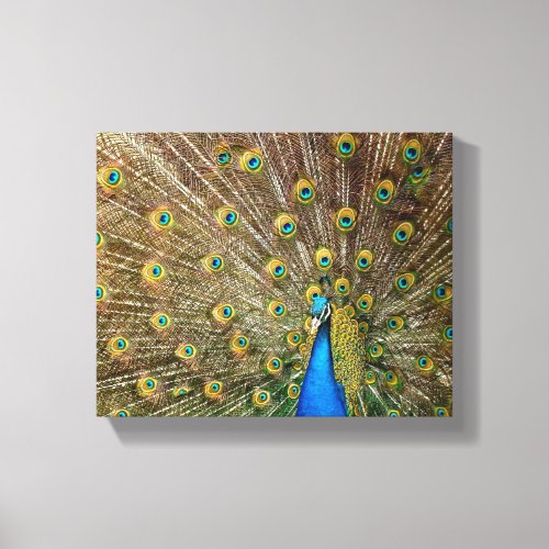 Peacock Pattern Peacock Artwork Painting Animal Ar Canvas Print