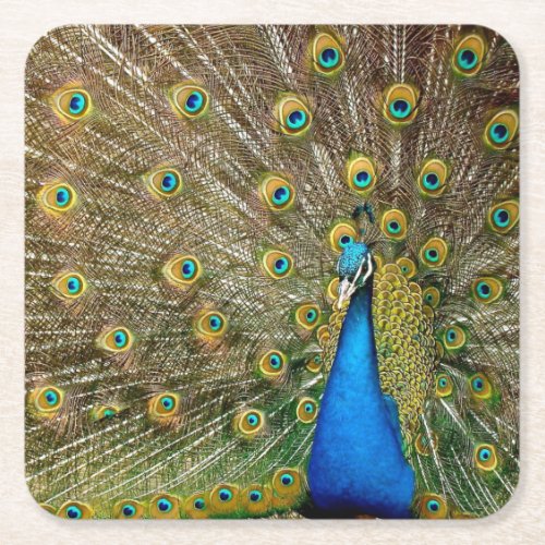 Peacock Pattern Peacock Artwork Painting Animal Ar Square Paper Coaster