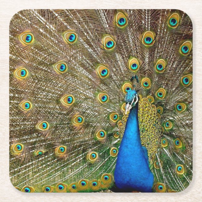 Peacock Pattern Peacock Artwork Painting Animal Ar Square Paper Coaster (Front)