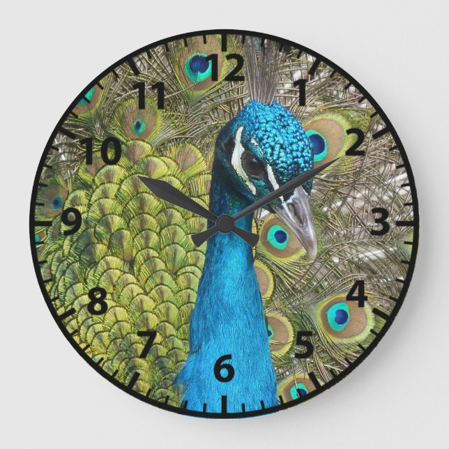 Peacock Peacocks Birds Clock (Front)