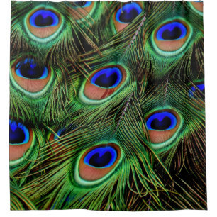 Peacock Peacocks Teal Curtains Shower Curtain