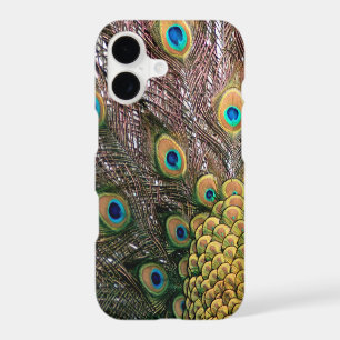 Peacock Peafowl Eyes and Feathers iPhone 17 Case