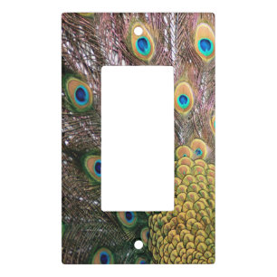 Peacock Peafowl Eyes and Feathers Light Switch Cover