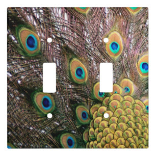 Peacock Peafowl Eyes and Feathers Light Switch Cover