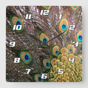 Peacock Peafowl Eyes and Feathers Square Wall Clock
