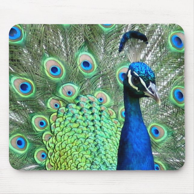 PEACOCK PEAFOWL PHOTO MOUSE PAD (Front)