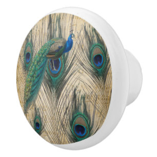 Peacock & Pecock Feathers W/Music Paper Background Ceramic Knob