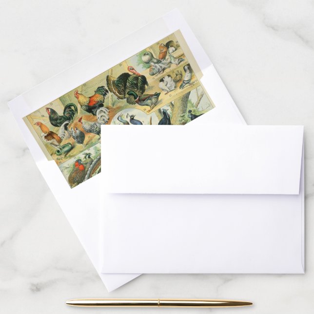 Peacock & Pheasant Vintage Wildlife Art Envelope Liner (Desk)