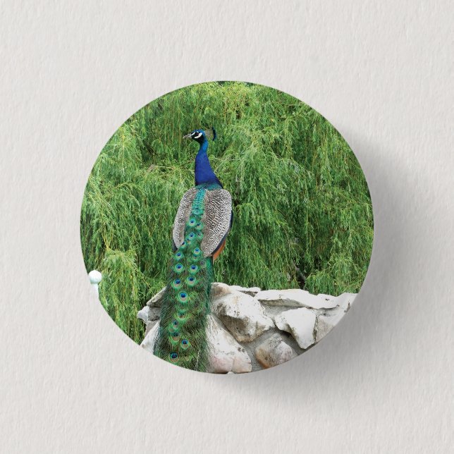 Peacock Photo  Badge Button (Front)