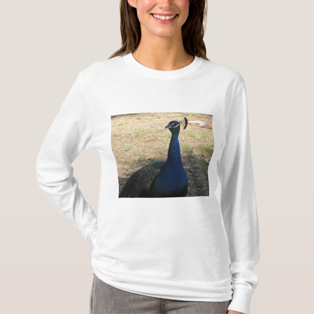 Peacock Photo Bright Blue Beautiful Bird T-Shirt (Front)