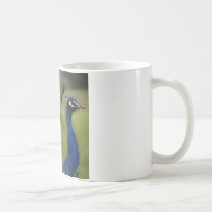 Peacock Photo Classic White Mug
