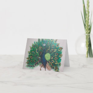 Peacock Photo Folded Note Card