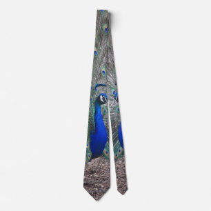 PEACOCK PHOTO NECK TIE