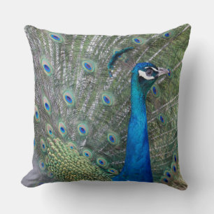 Peacock Photography Throw Pillow