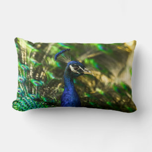 Peacock pillow