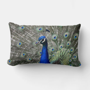 Peacock Pillow